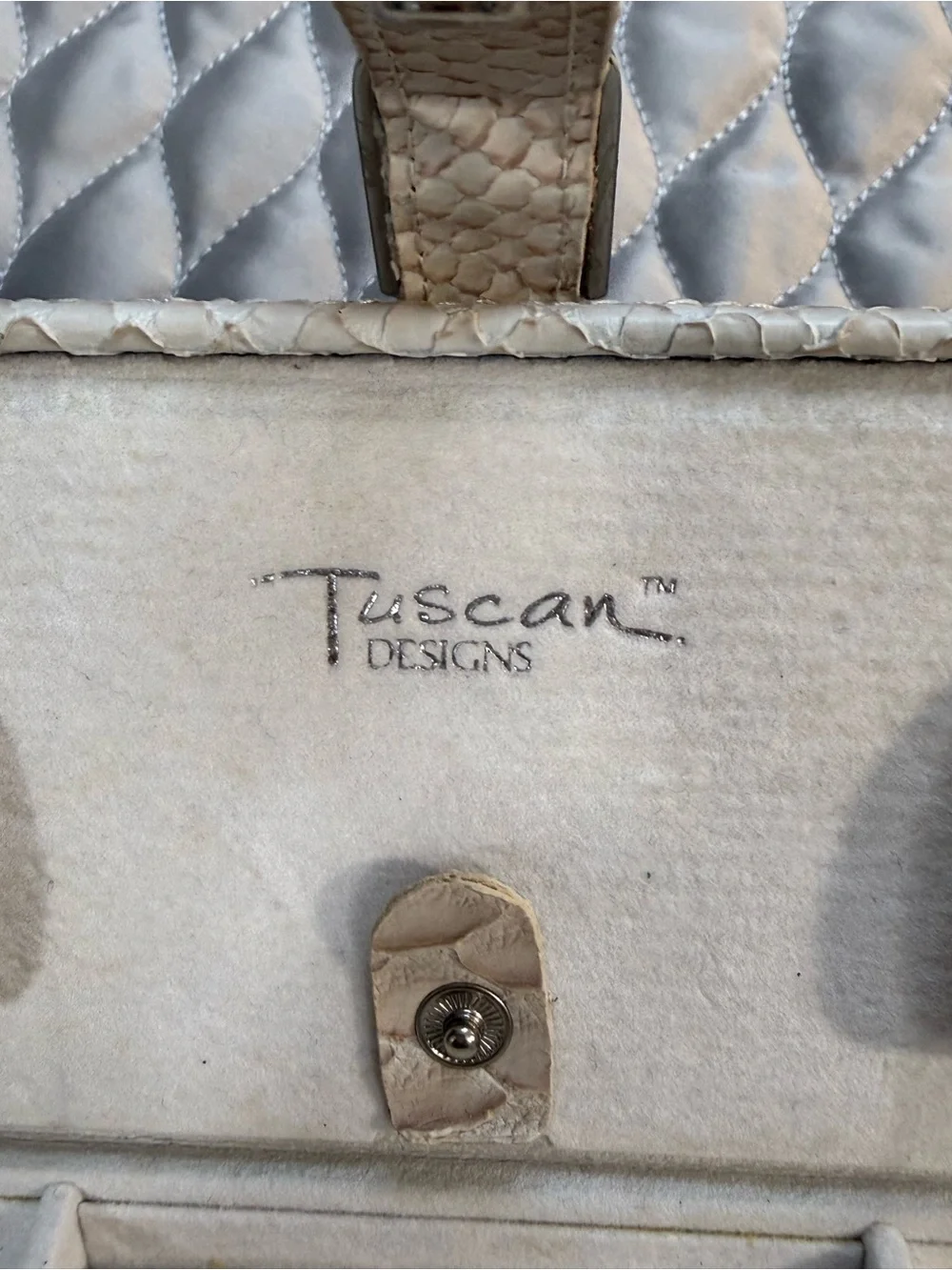 Cream Snakeskin textured Jewelry case with Silver Buckle